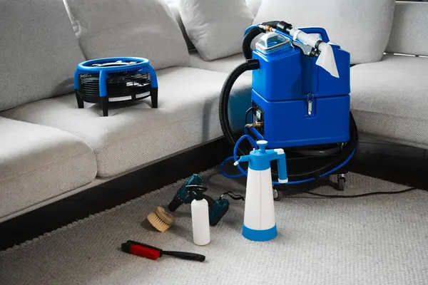 Pet Stain & Odor Removal